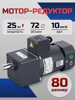 Мотор-редуктор 80YS25WGV22H/80GK18H 25 Вт 72 об/мин 220 В