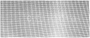 Шлифовальная сетка, 10 листов, зернистость 150, 115 x 280 мм, карбид кремния